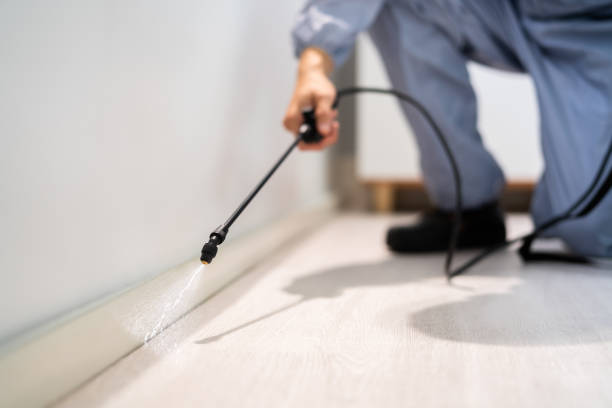 Licensed Pest Control service in Albion, NY - Show Me Pest Control